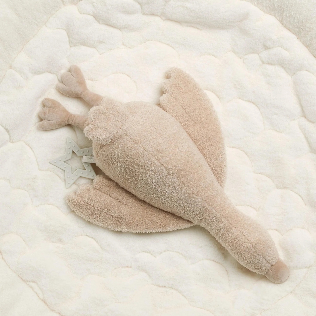 Playmat & Gym - Welcome to the World Duckling