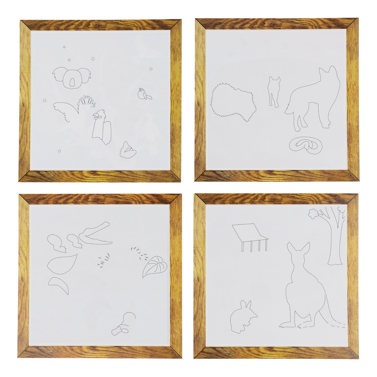 Magic Painting World Aussie Animals