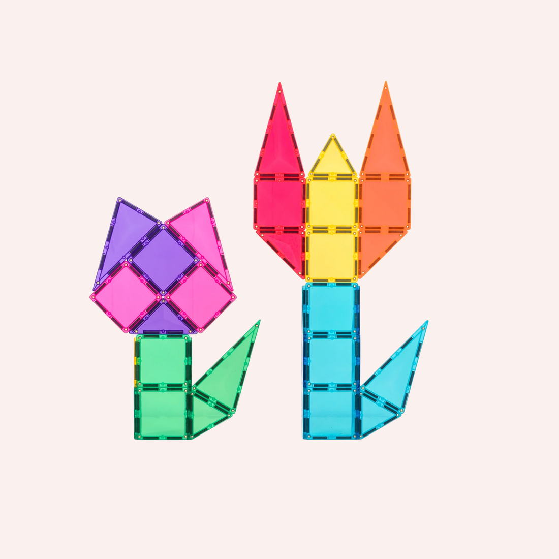 Bright Starter Pack 56 pc