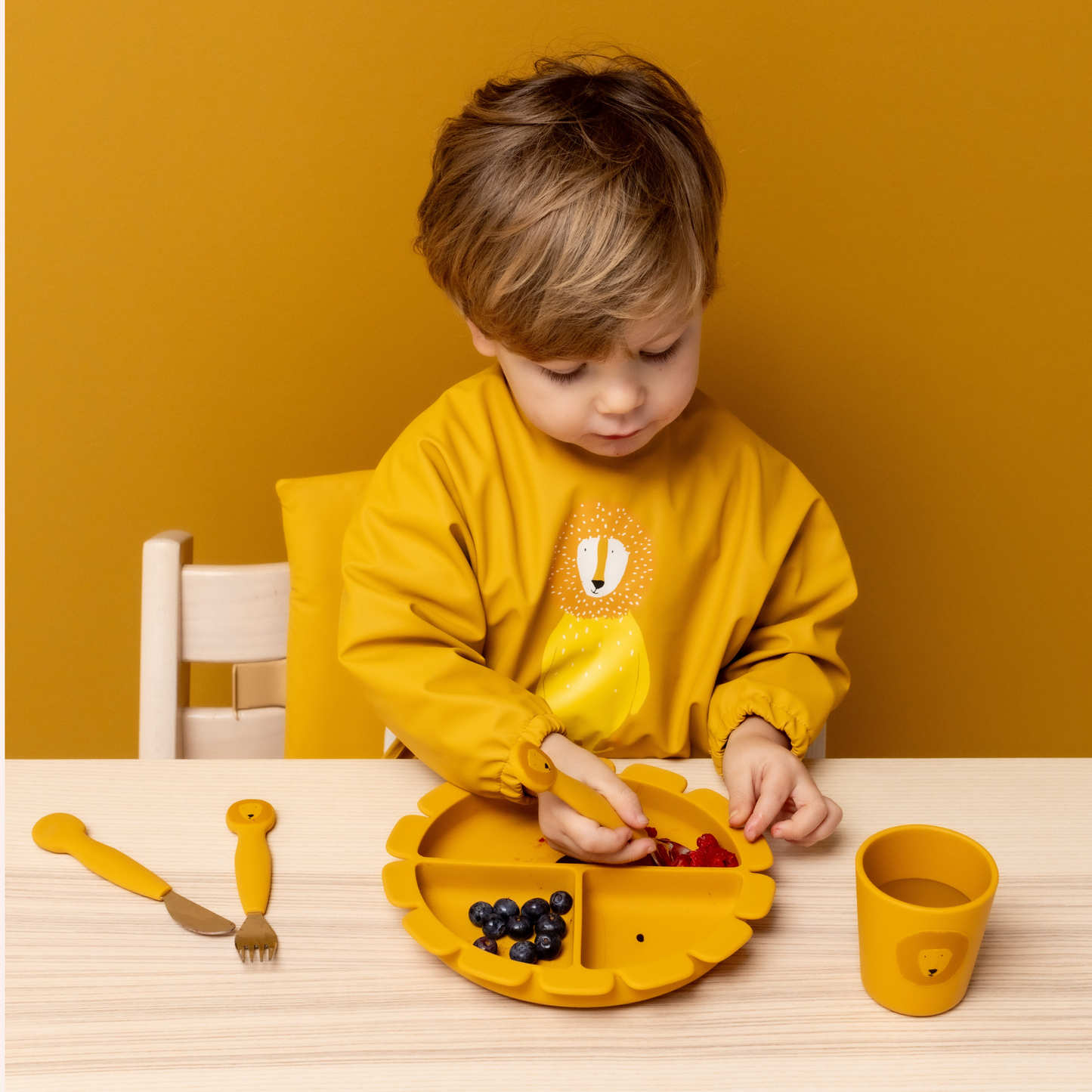 Silicone Divided Suction Plate - Mr. Lion