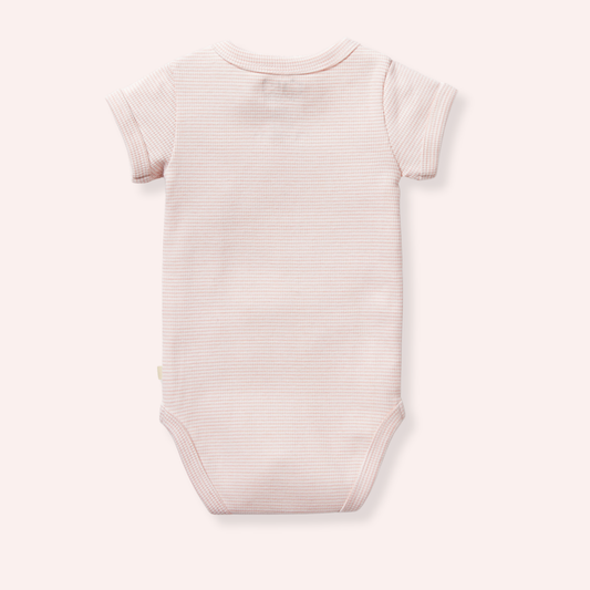 Organic Stripe Rib Bodysuit - Cantaloupe