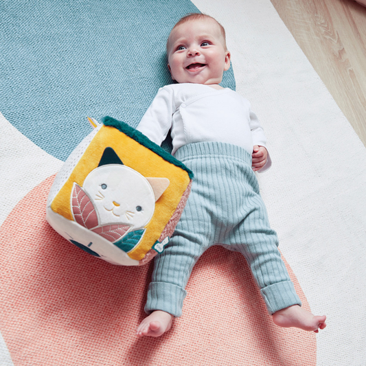 Stimuli Sensory Cube