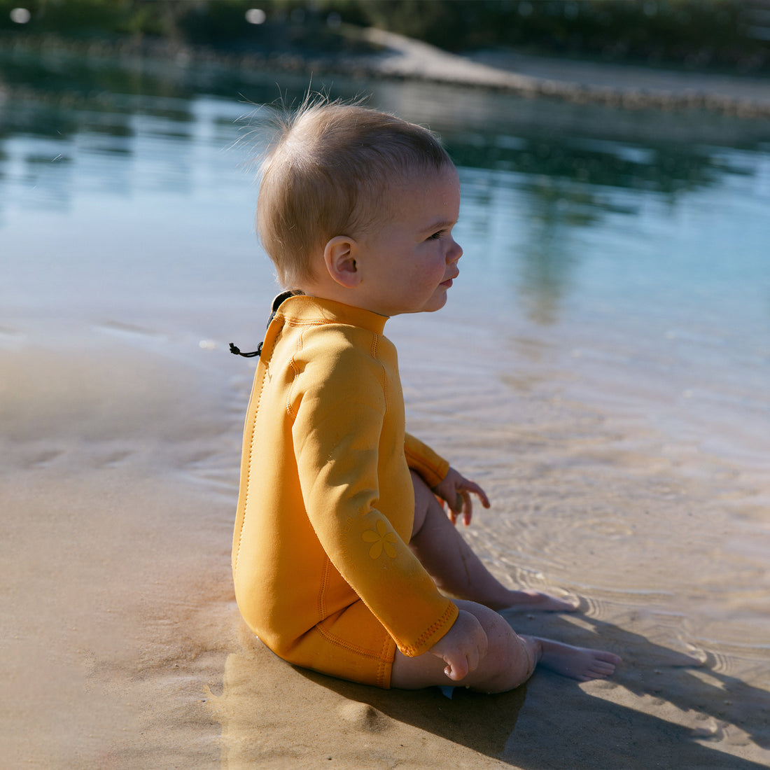 Long Sleeve Wetsuit - Sunflower