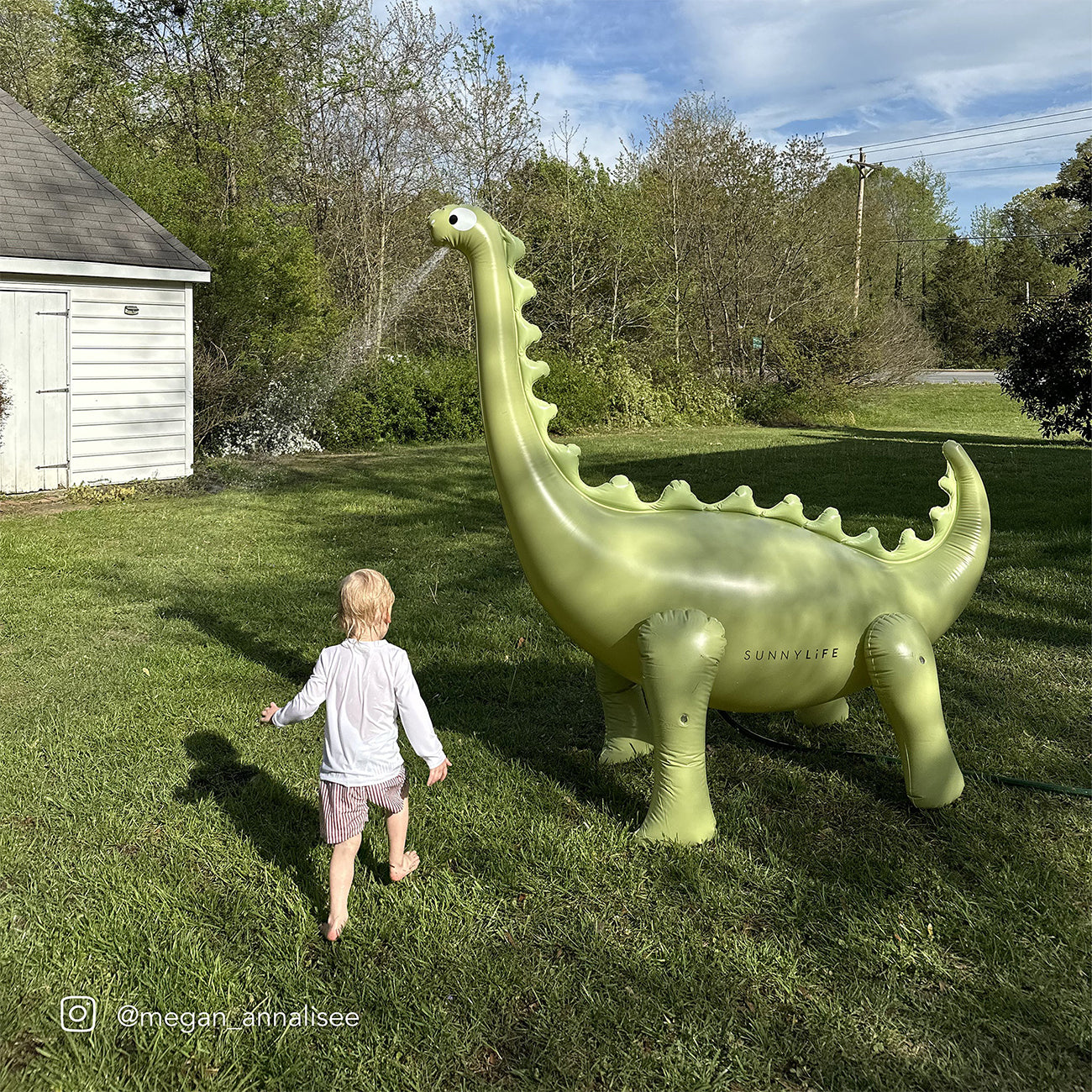 Dino Giant Sprinkler - Into the Wild