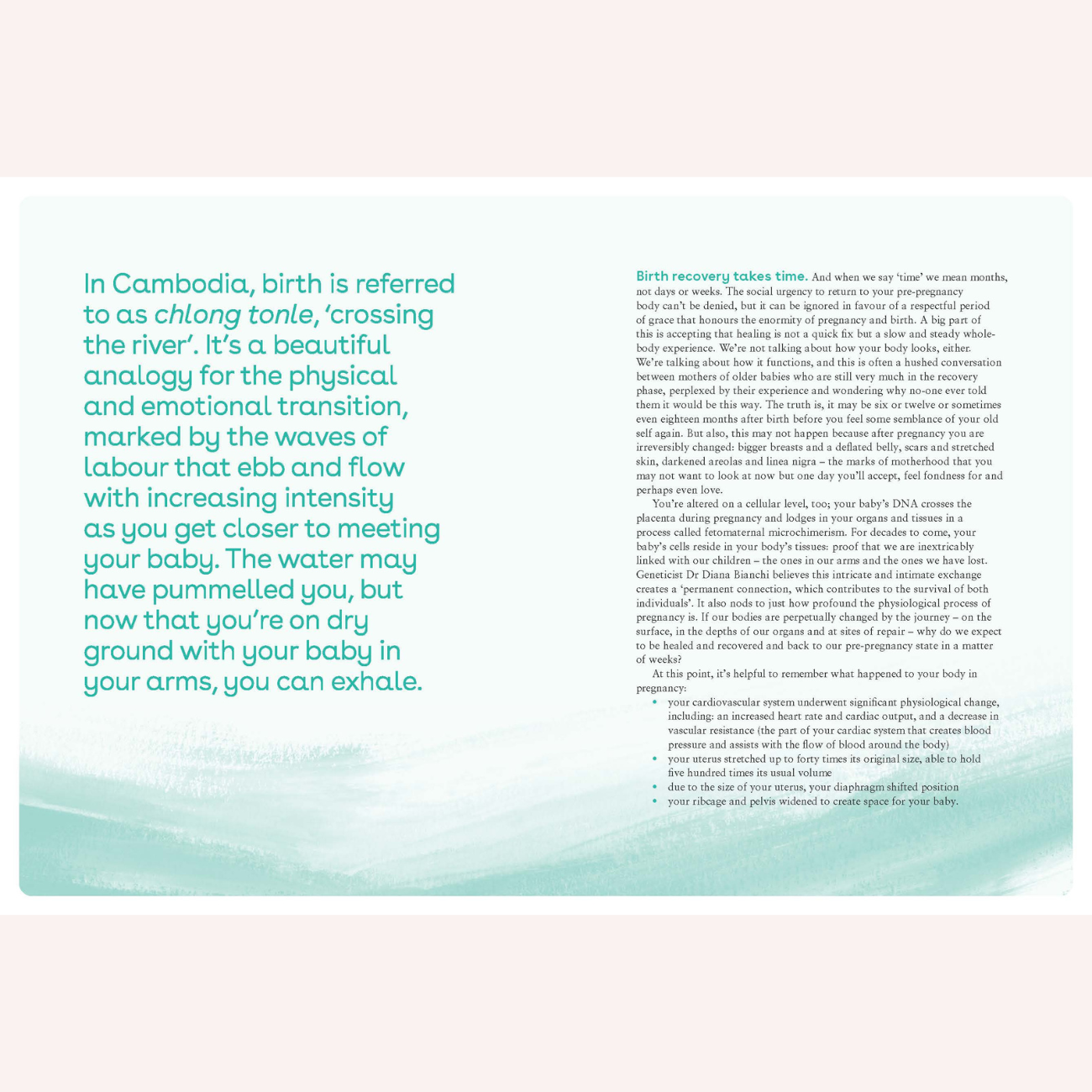 The Complete Guide to Postpartum by Jodi Wilson and Sophie Walker | the ...