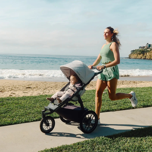 UPPAbaby Ridge V2 Stroller - Black (James)