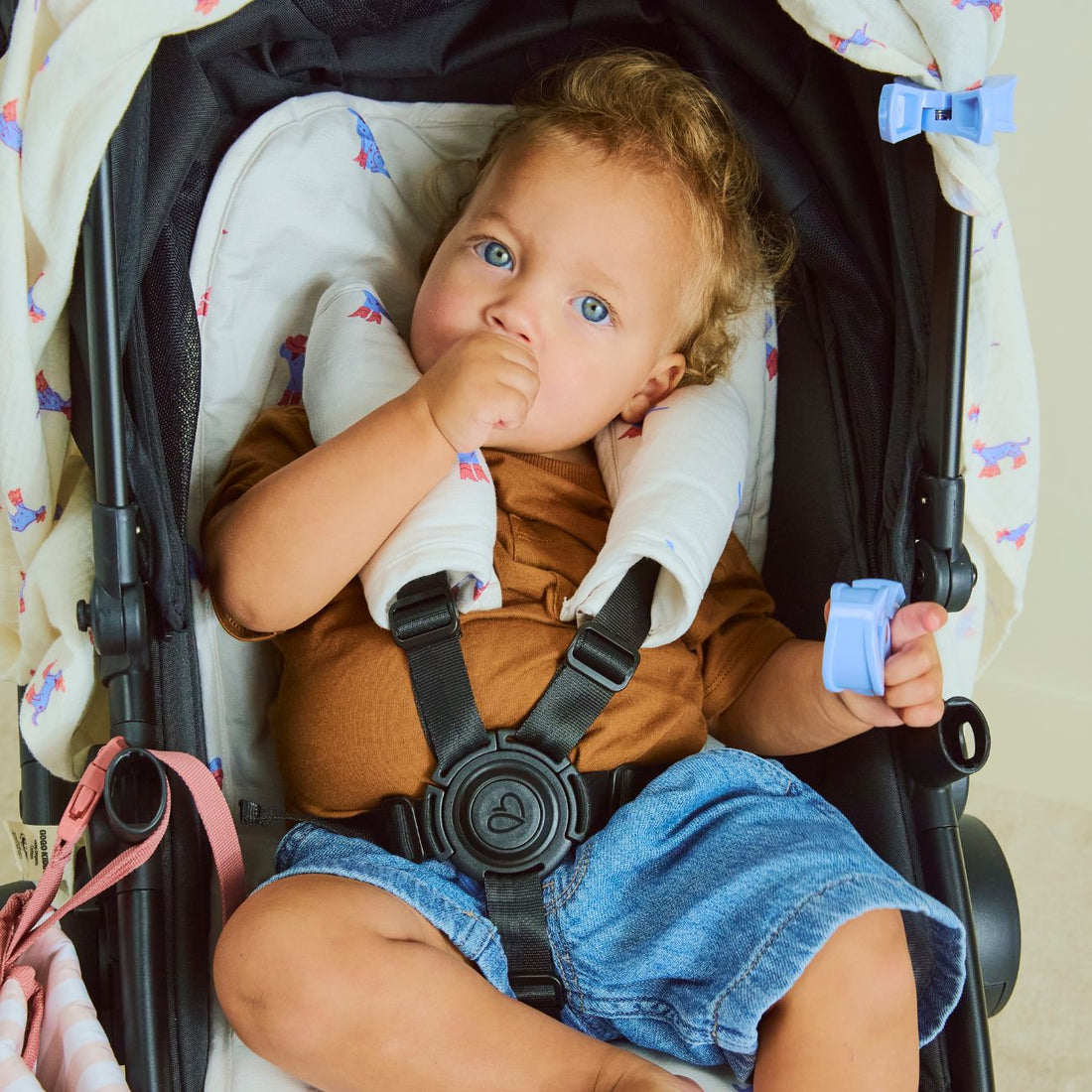 Pram Accessories
