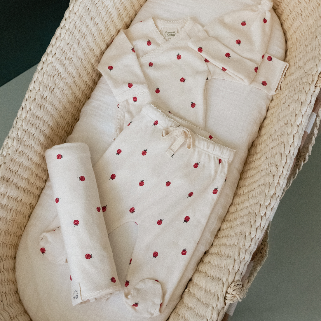 Welcome Home Bundle - Raspberry Print