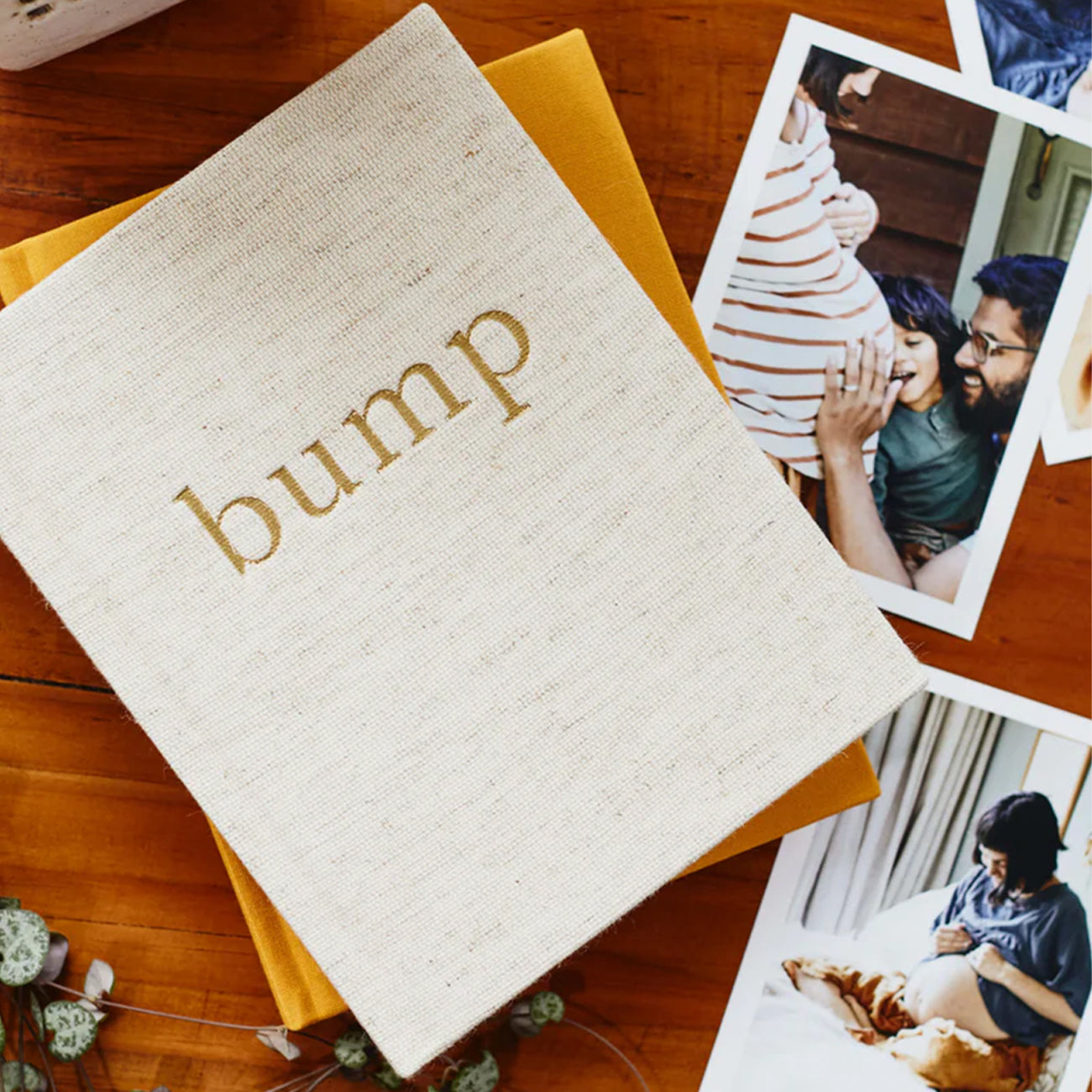 Baby Journal: Bump. A Pregnancy Story