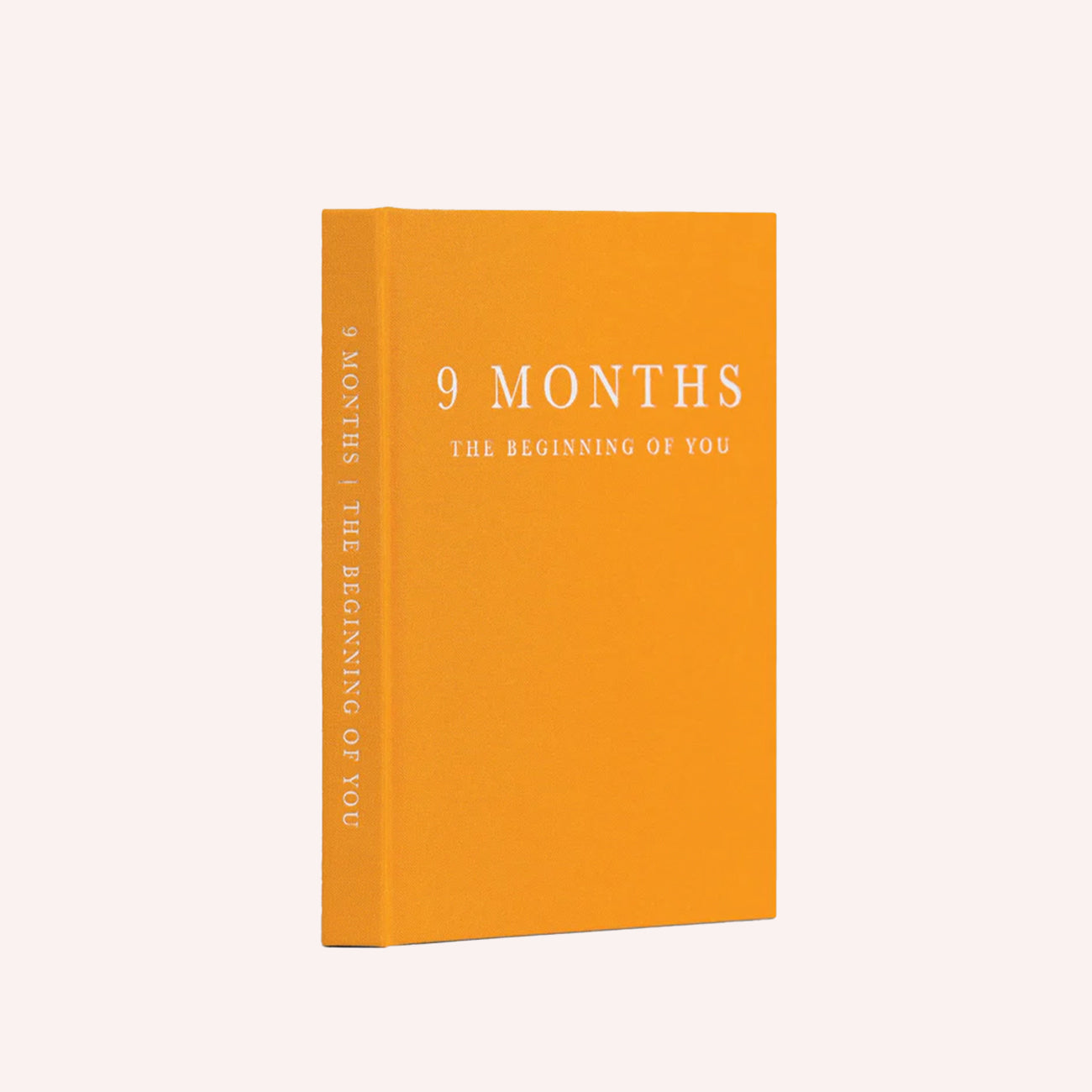 Baby Journal: 9 Months. Pregnancy Journal