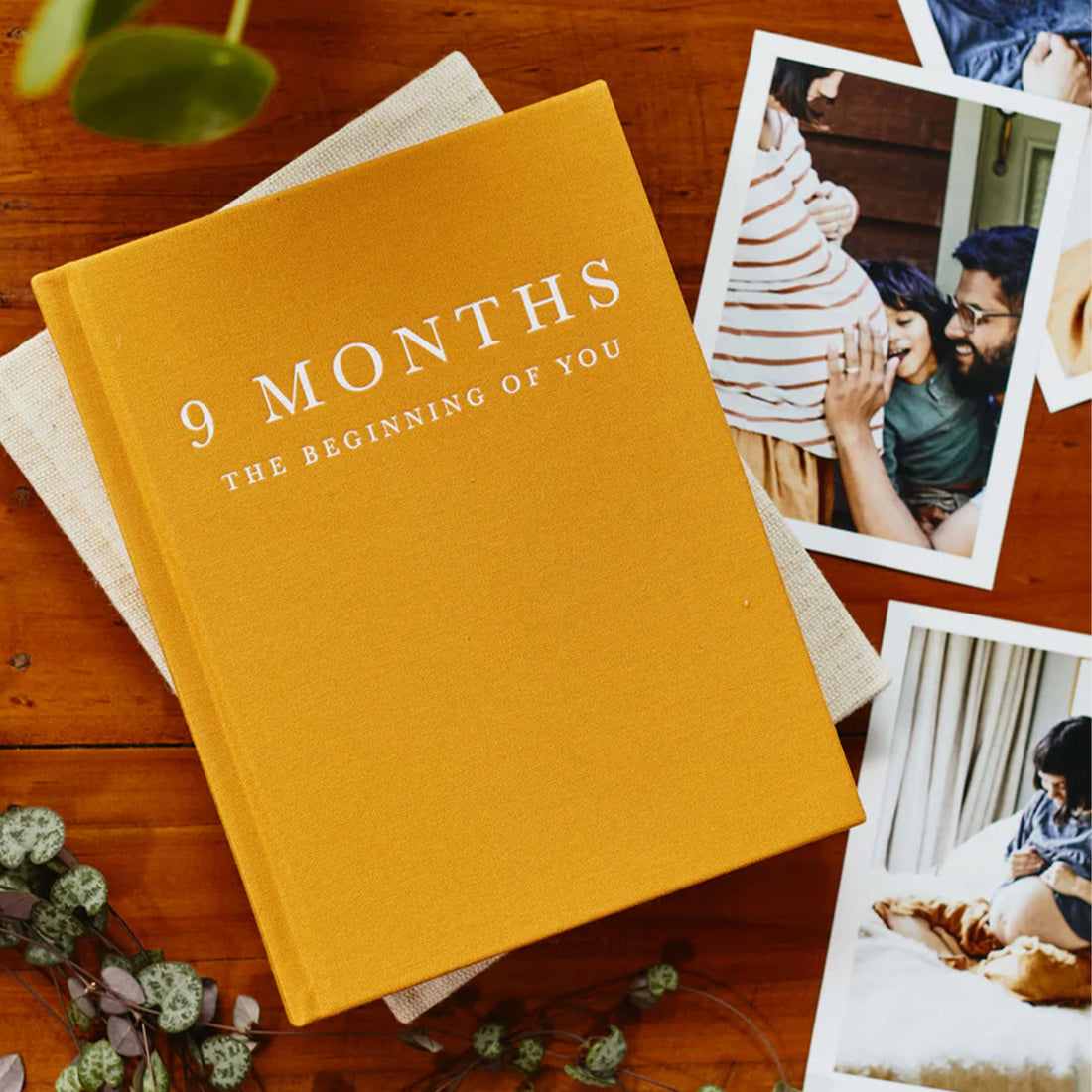 Baby Journal: 9 Months. Pregnancy Journal