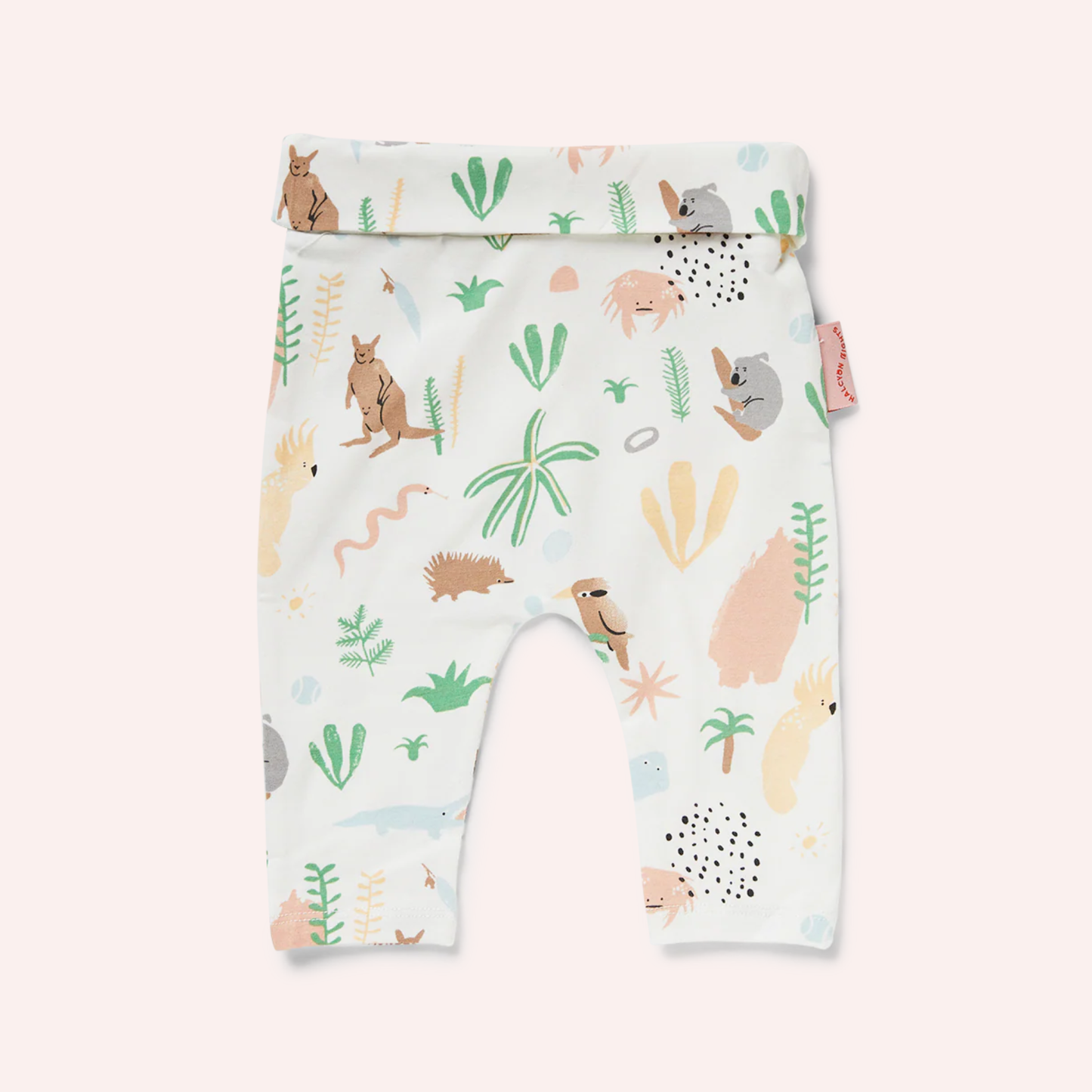 Yoga Leggings - Outback Dreamers