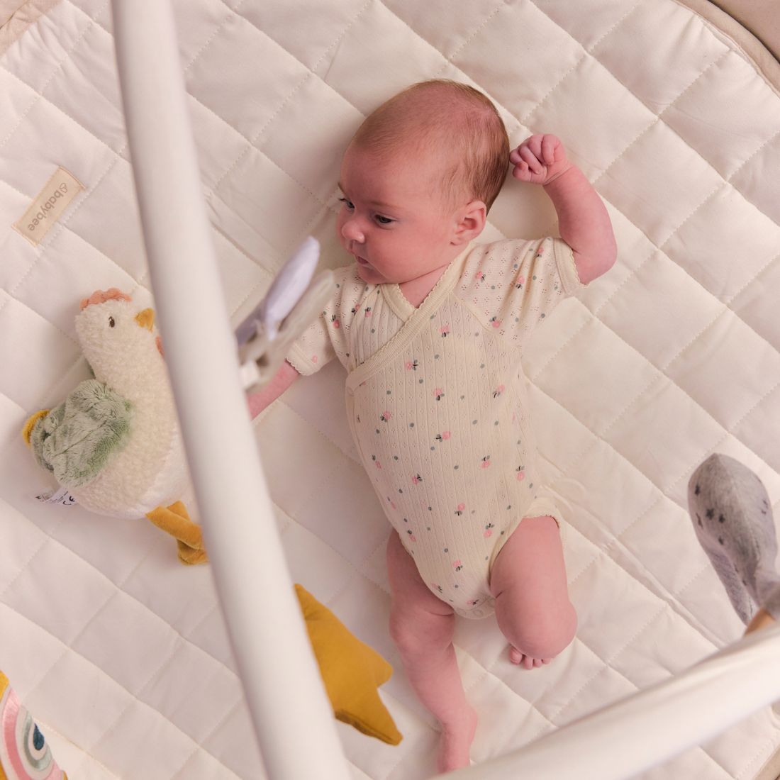 Play Gyms and Activity Mats