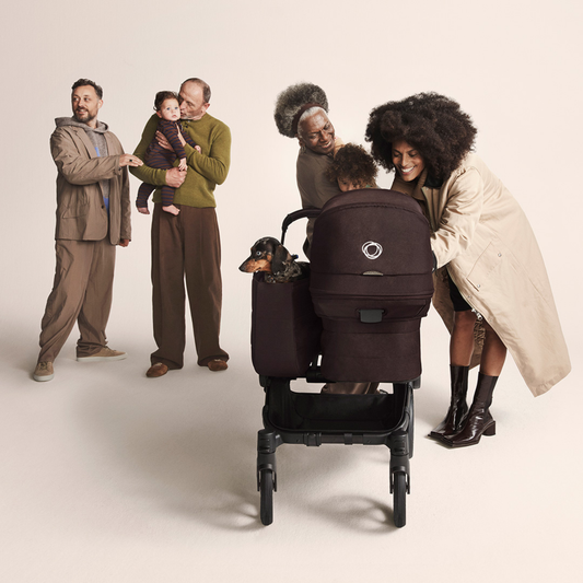 Bugaboo Donkey 6 Single Bassinet and Seat Pram