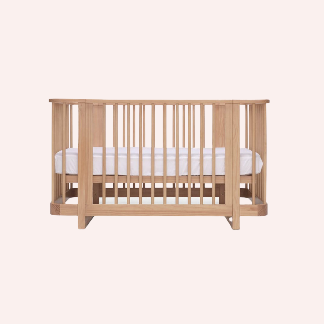 Seena Pisa Cot