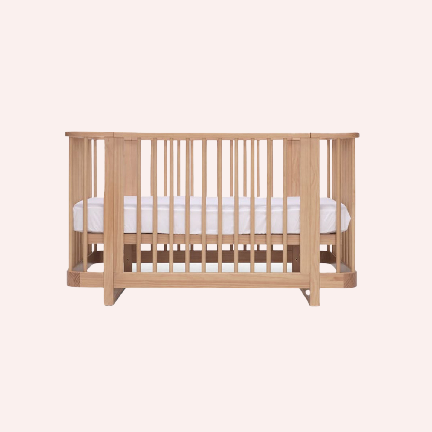 Seena Pisa Cot