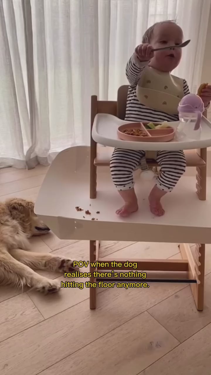 CATCHY -  The Food and Mess Catcher for High Chairs