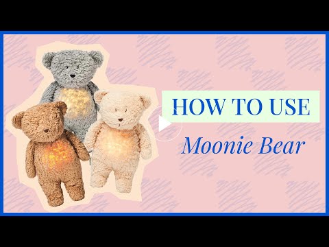 Organic Humming Bear With Lamp - Cappuccino